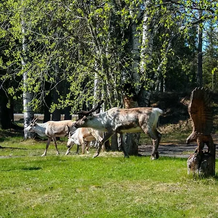 Motelli Rovaniemi