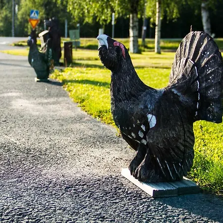 Motelli Rovaniemi 3* Rovaniemi