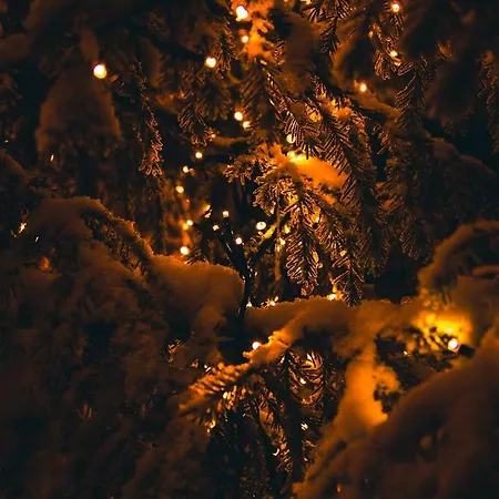 Motel Motelli Rovaniemi Rovaniemi