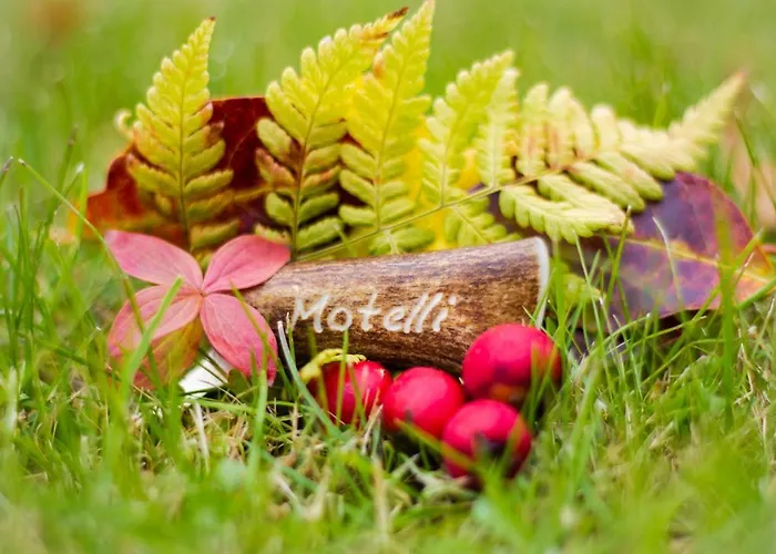 Motel Motelli Rovaniemi Rovaniemi