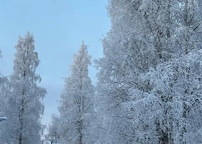 Motelli Rovaniemi Motel 3*