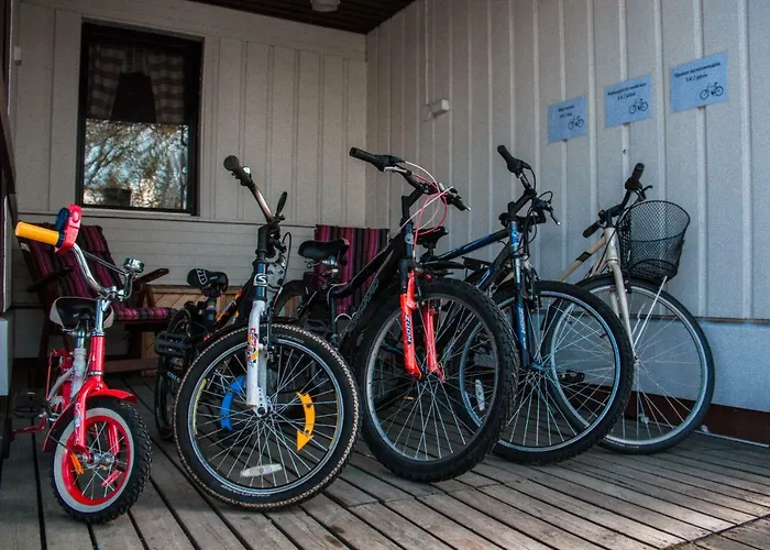 موتيل موتيللي روفانيمي 3*