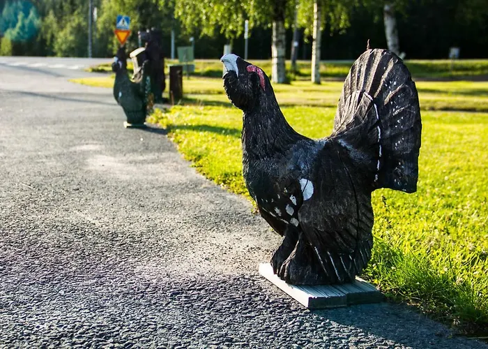 Motelli Rovaniemi 3* Rovaniemi