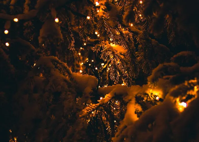 موتيل موتيللي روفانيمي روفانييمي